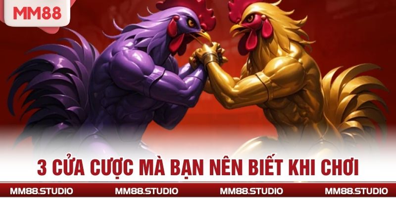 3 cửa cược mà bạn nên biết khi chơi